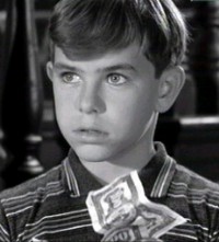 Charles Herbert was a mildly popular 1950s child actor with a trademark sulky puss and thick, furrowed eyebrows, who was known for his inquisitive kid ... - charlesherbert