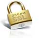 SSL SECURE